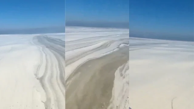 Adriatico, l’incredibile video della mucillagine ‘infinita’ a largo di Pesaro