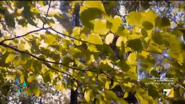Eden - Un pianeta da salvare