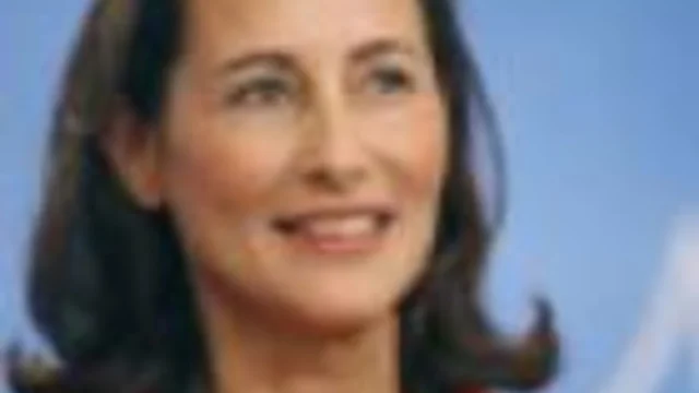 FRANCIA: LUI O LEI?