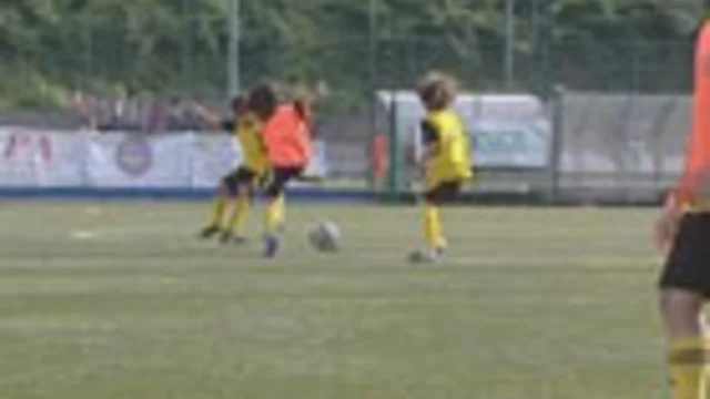 CALCIO GIOVANILE: COSA PENSANO I GENITORI